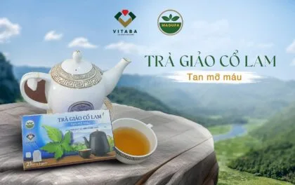 Cách dùng Trà Giảo Cổ Lam