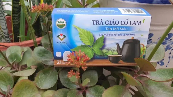 Thành phần Trà Giảo Cổ Lam - Tan mỡ máu