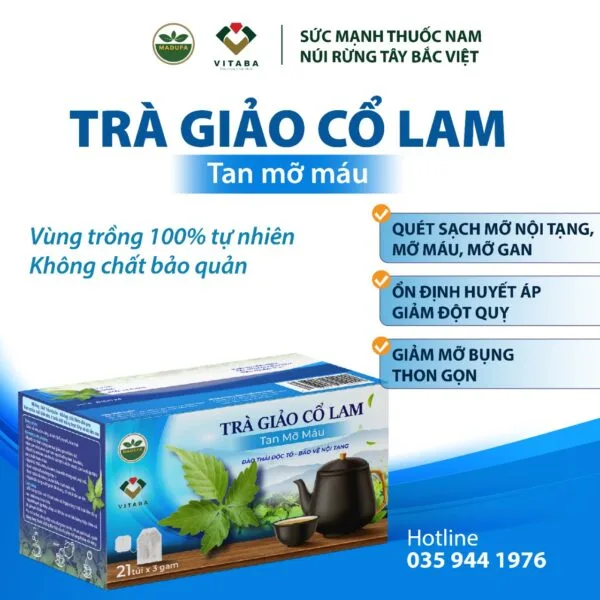 Trà Giảo Cổ Lam - Tan mỡ máu