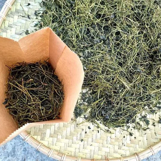 Giảo Cổ Lam khô 2